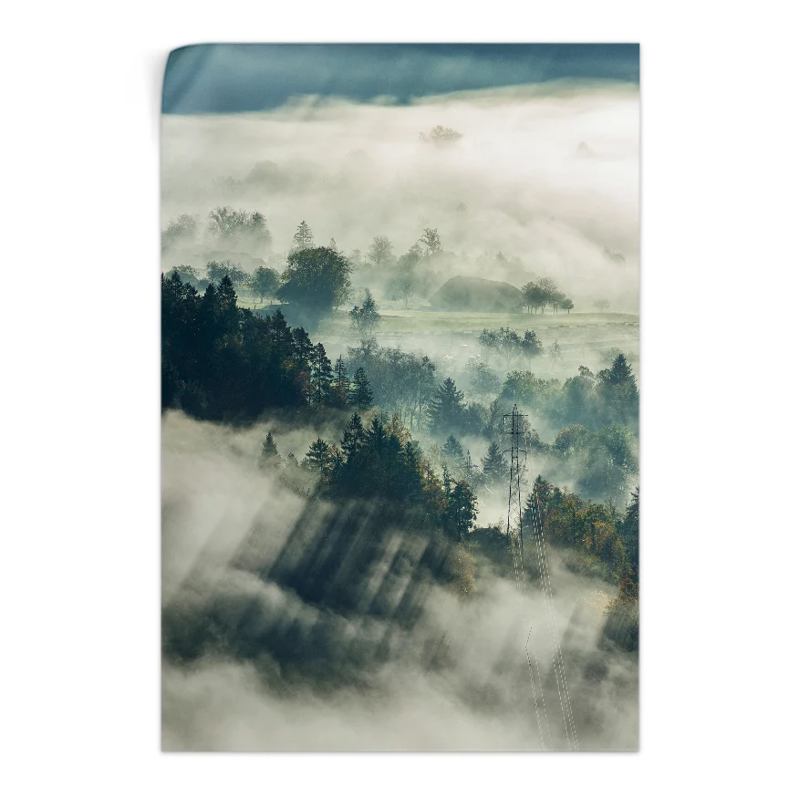 Bosque Natural con Neblina Poster