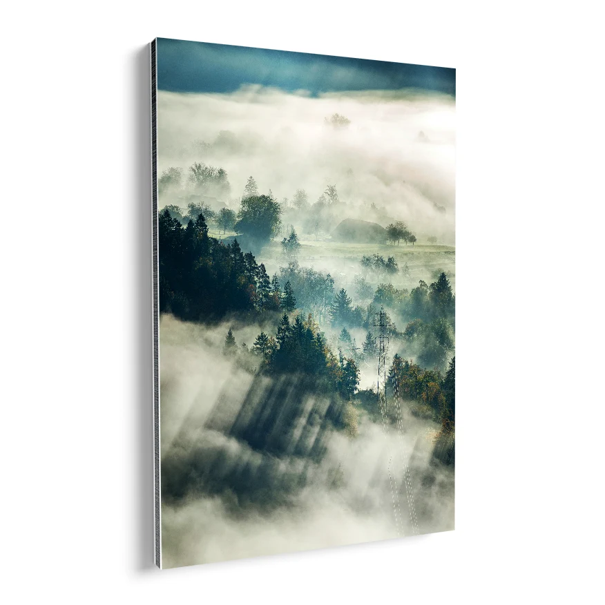 Bosque Natural con Neblina Poster
