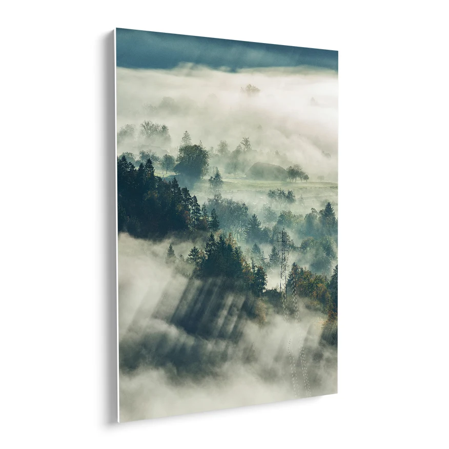 Bosque Natural con Neblina Poster