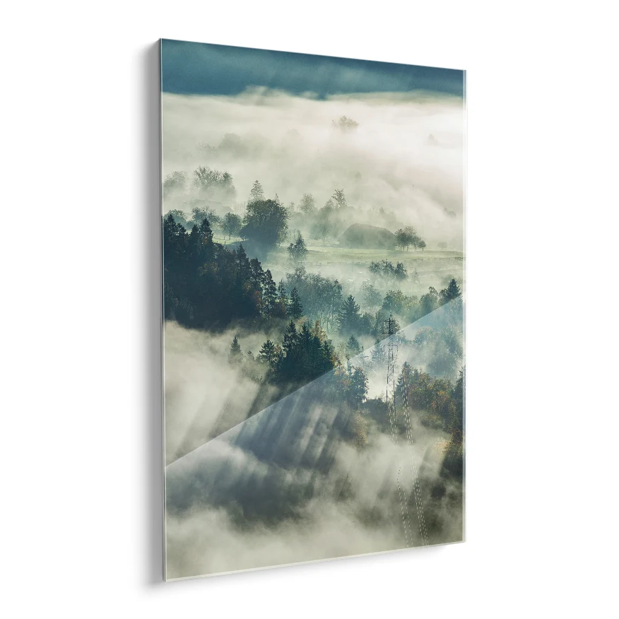 Bosque Natural con Neblina Poster