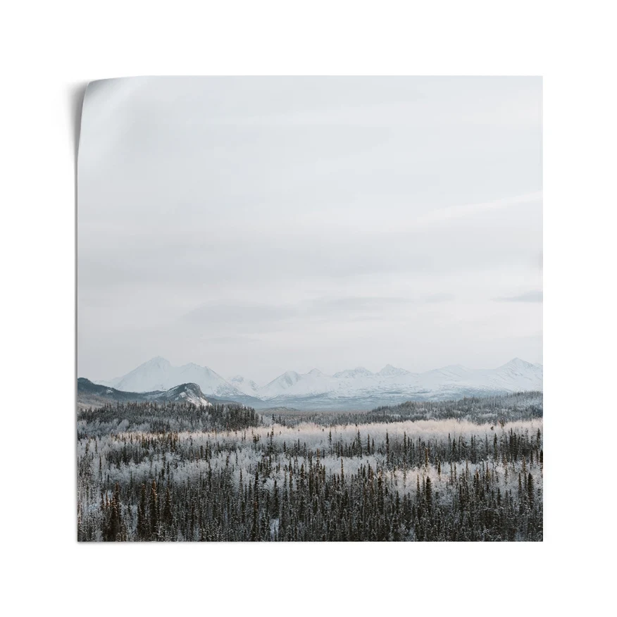 Bosque Nevado Poster