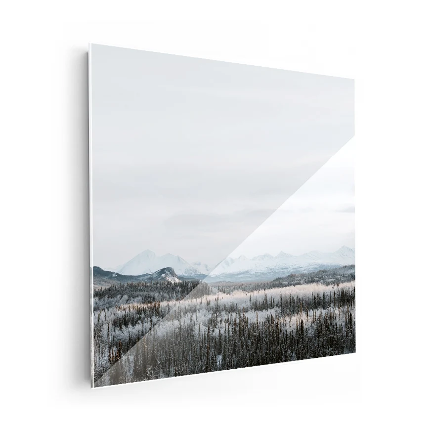 Bosque Nevado Poster