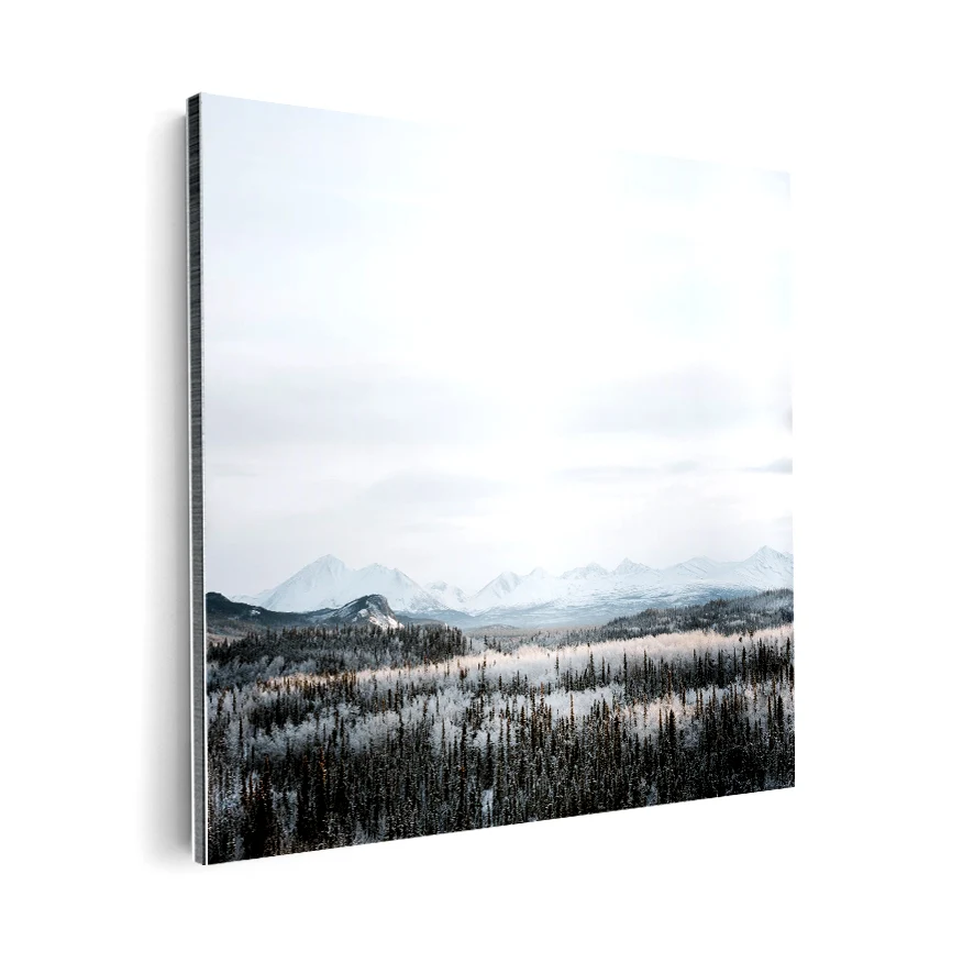 Bosque Nevado Poster