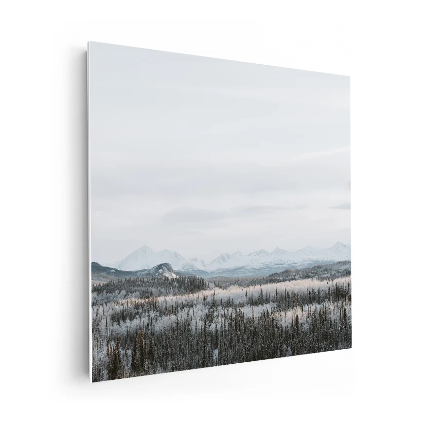 Bosque Nevado Poster