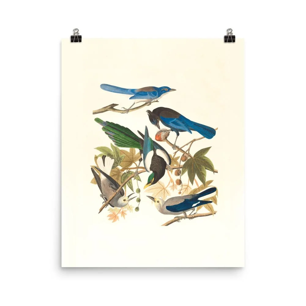 cinco pájaros en las ramas - cartel Boston Public Library