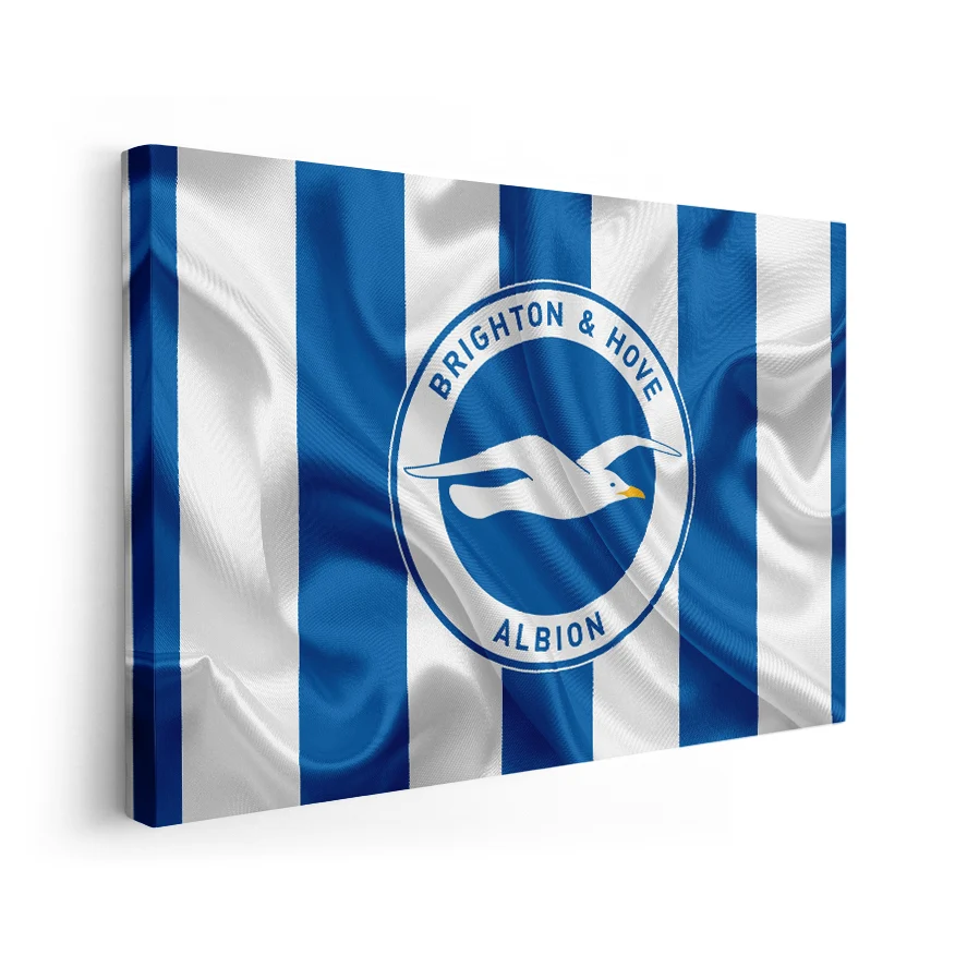 Brighton & Hove Albion Football Club Poster