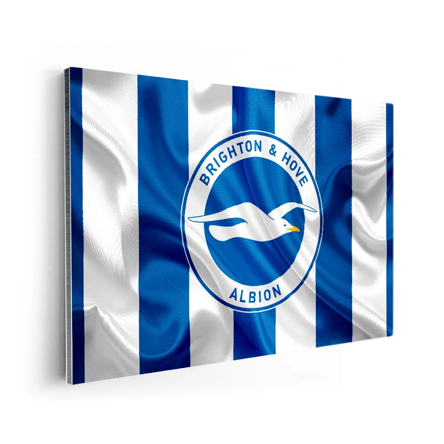 Brighton & Hove Albion Football Club Poster