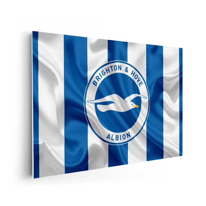 Brighton & Hove Albion Football Club Poster