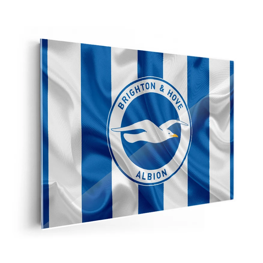 Brighton & Hove Albion Football Club Poster