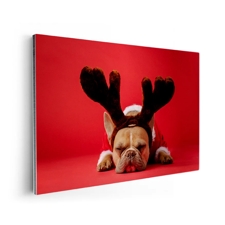 Bulldog Frances con Disfraz Poster