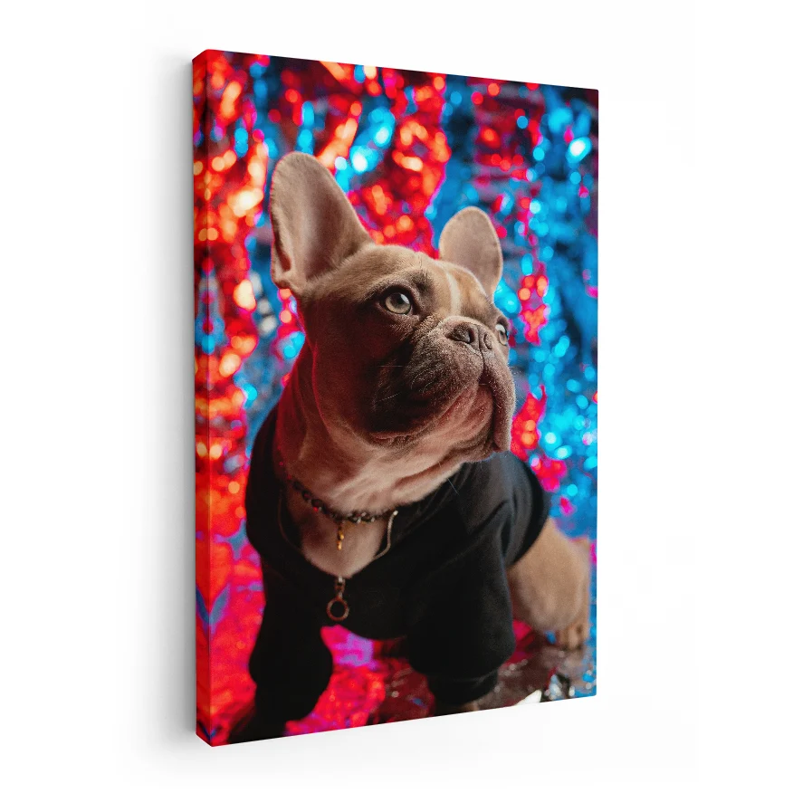 Bulldog Francés Poster