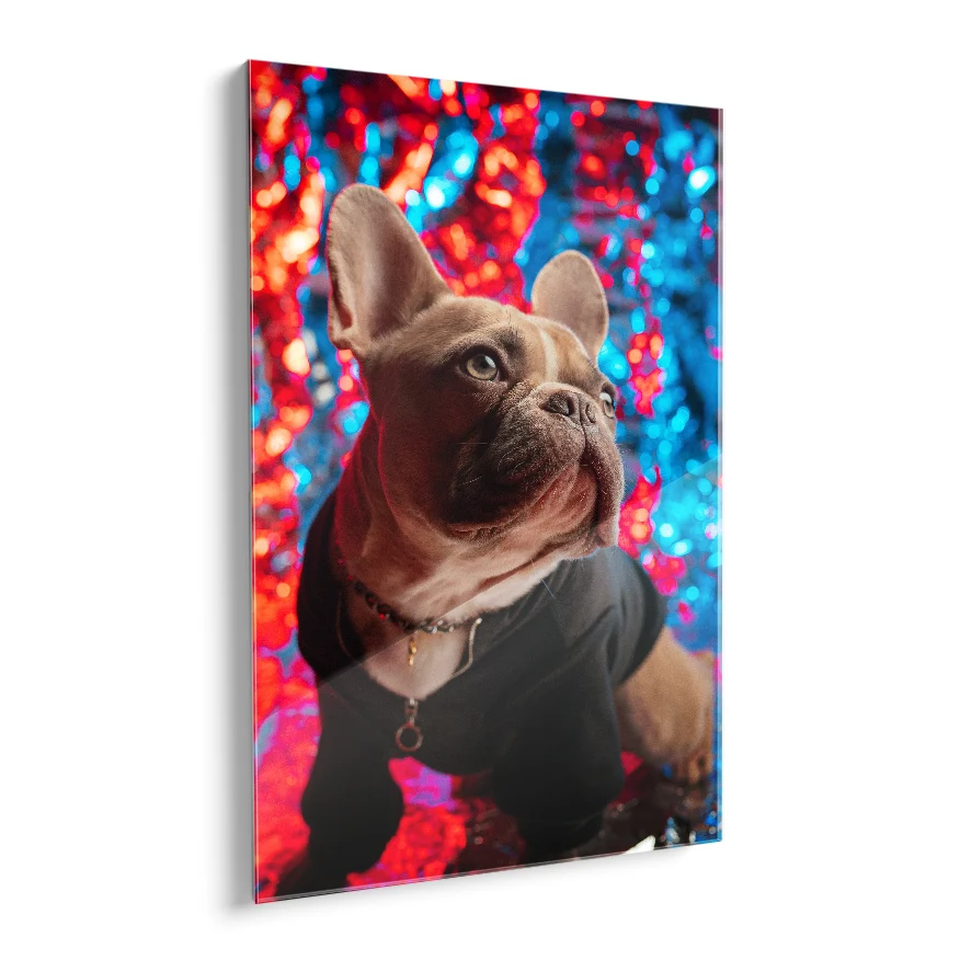 Bulldog Francés Poster