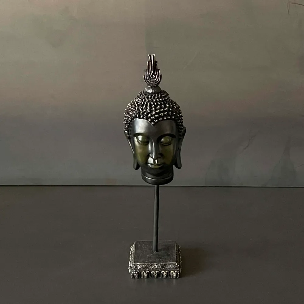 CABEZA MONJE NEGRA. BOBOT005A