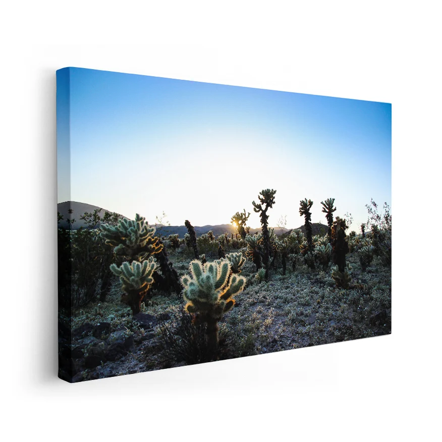 Cactus al Atardecer Poster