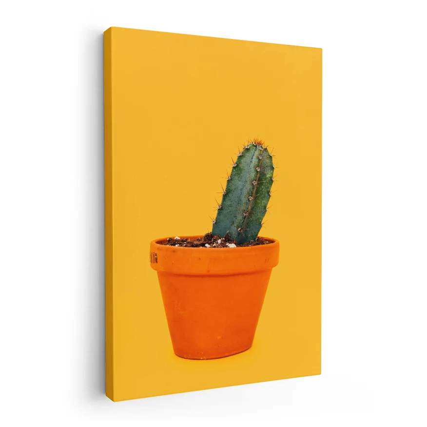 Cactus San Pedro Poster
