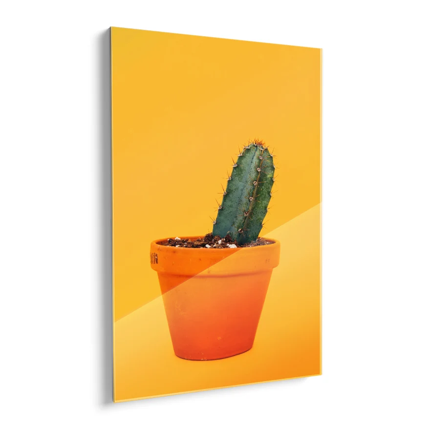 Cactus San Pedro Poster