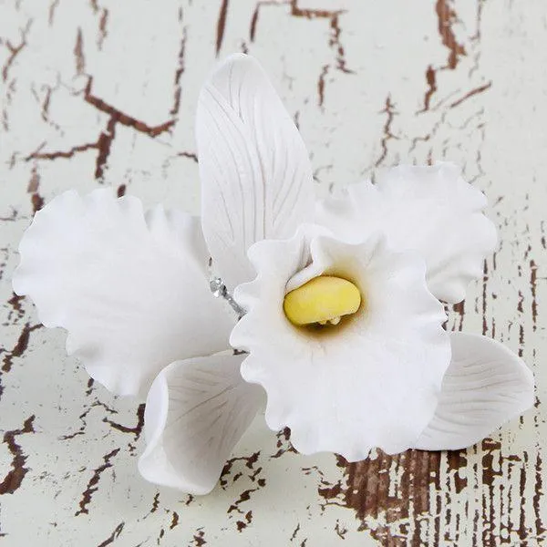 Flor decorativa Orquídea Cattleya de pasta de goma Caljava