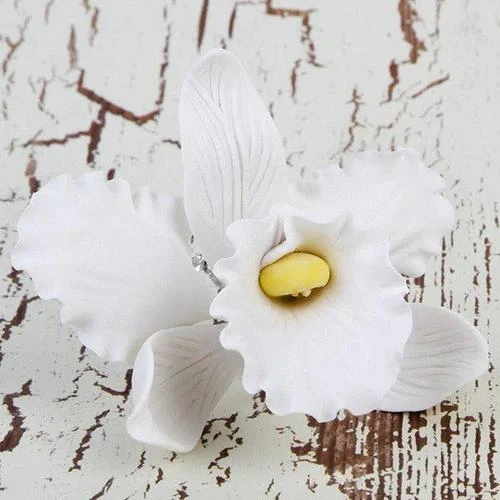 Flor decorativa Orquídea Cattleya de pasta de goma Caljava