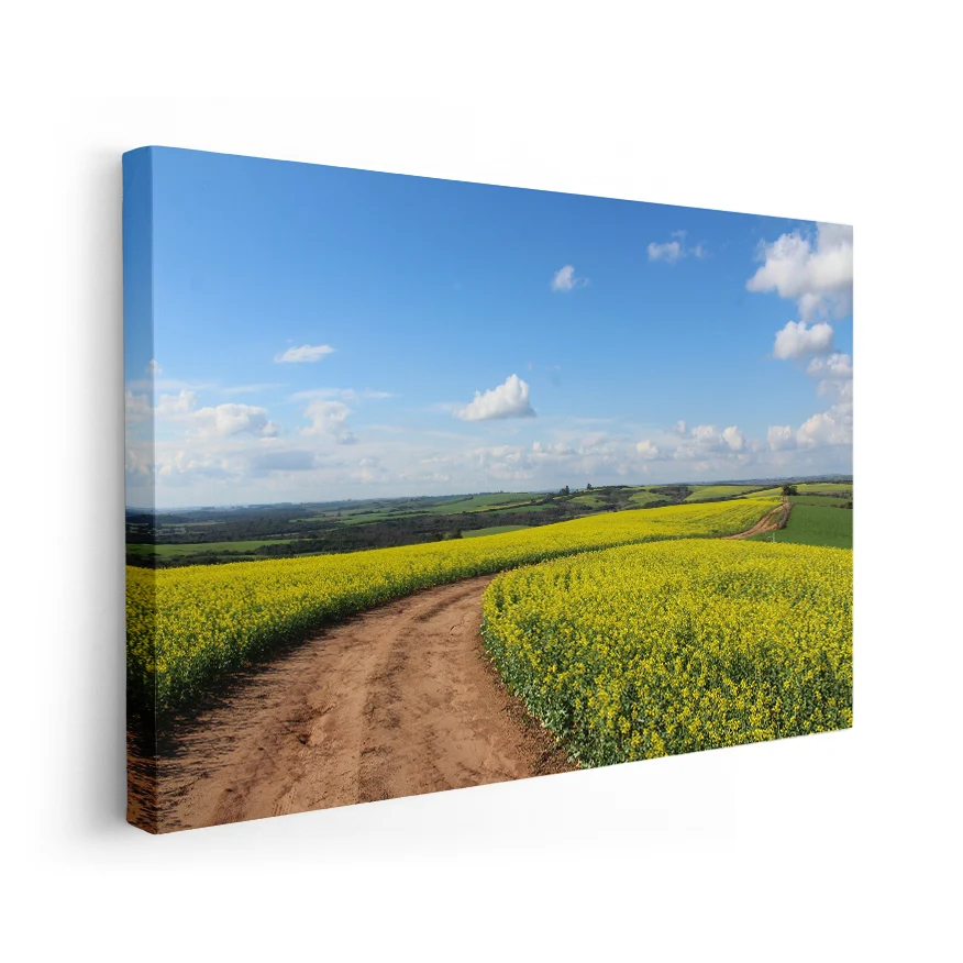 Camino Entre Flores Poster