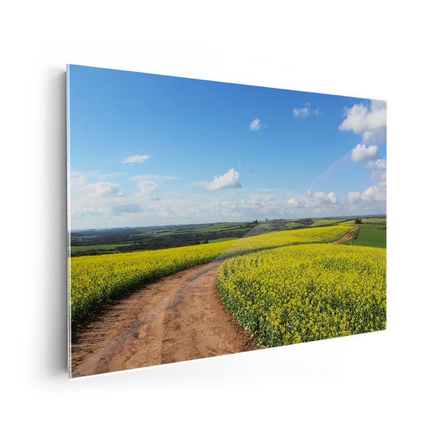 Camino Entre Flores Poster