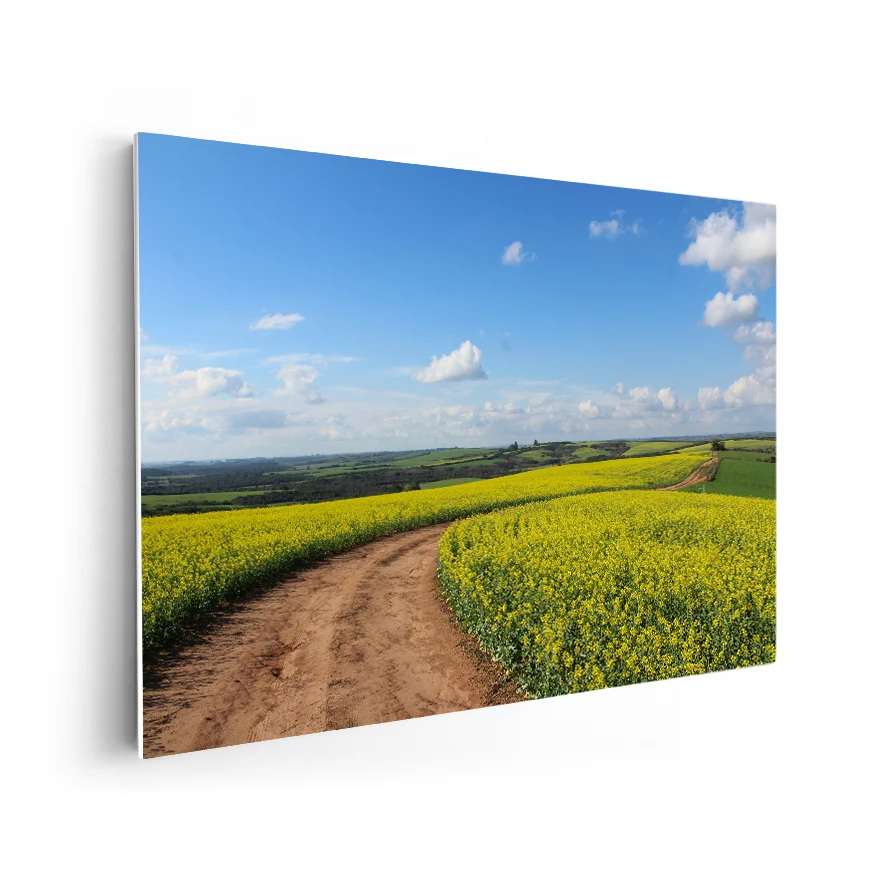 Camino Entre Flores Poster