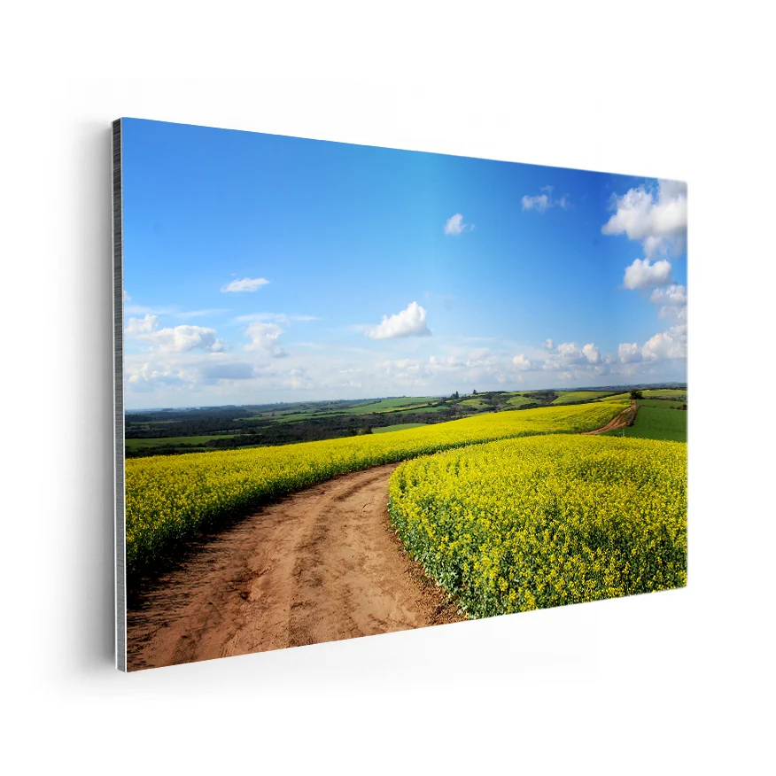 Camino Entre Flores Poster