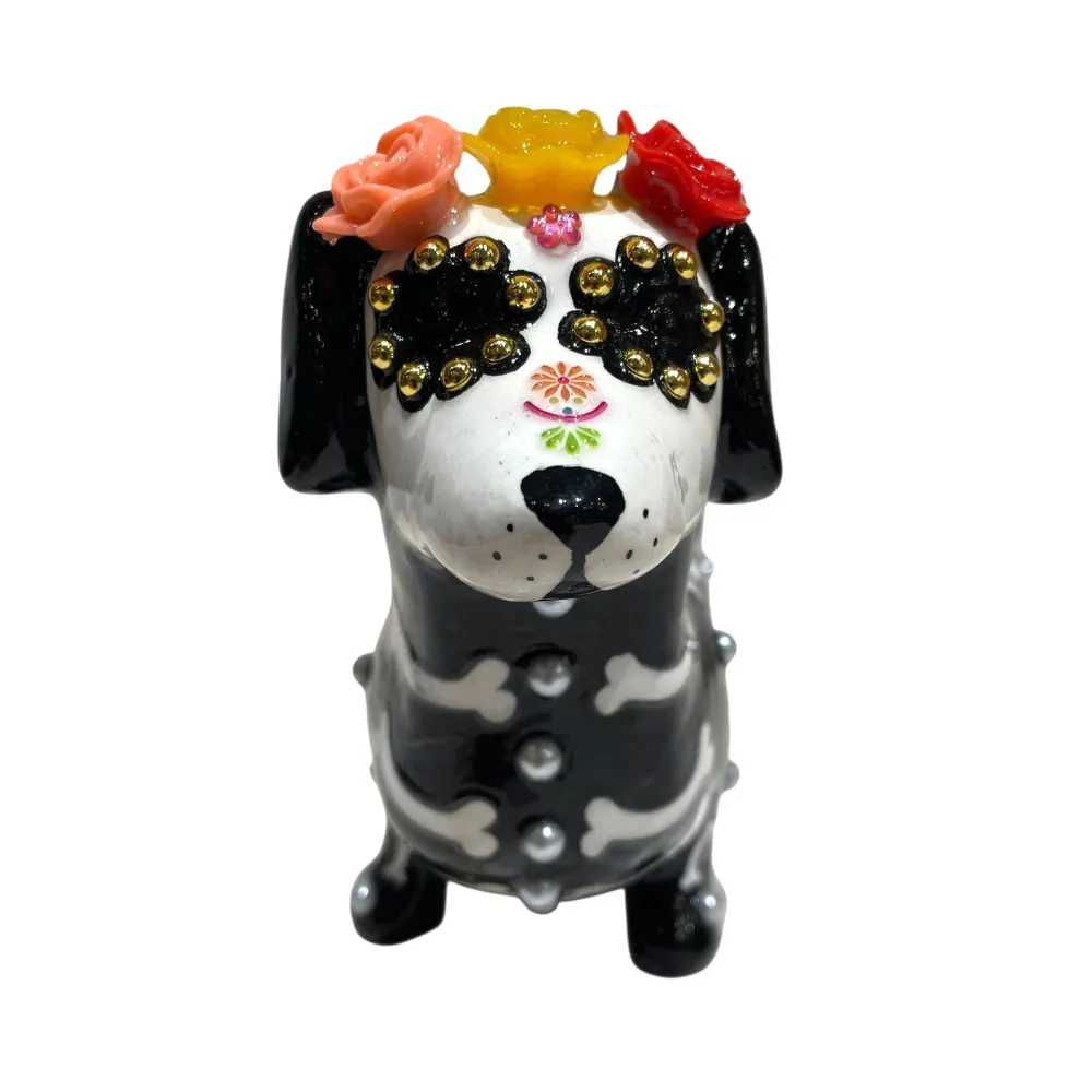 Perro Salchicha Casa Milagros