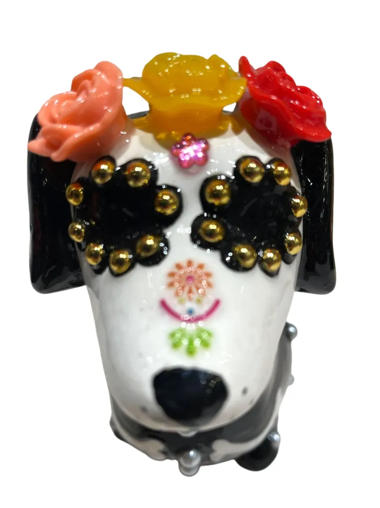 Perro Salchicha Casa Milagros