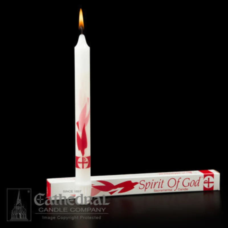 Espíritu de Dios Confirmación/Velas Sacramentales SFE (12 Piezas) Cathedral Candle Company