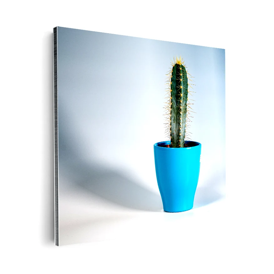 Cereus Poster