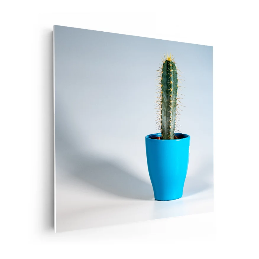 Cereus Poster