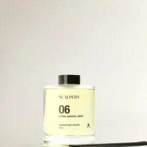 06 CITRUS, AROMATIC, GREEN 200ML MIKADO DIFFUSER