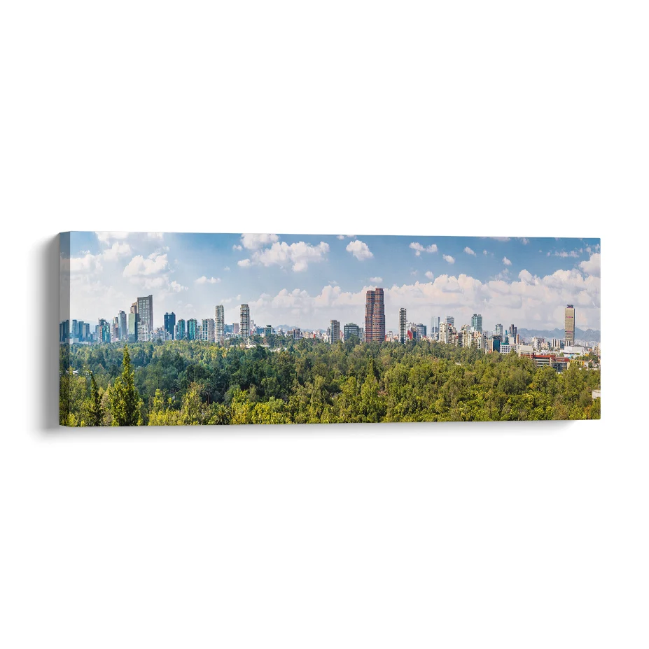 Ciudad De México Poster