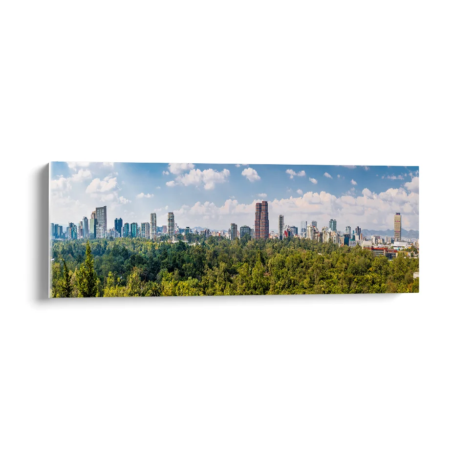 Ciudad De México Poster