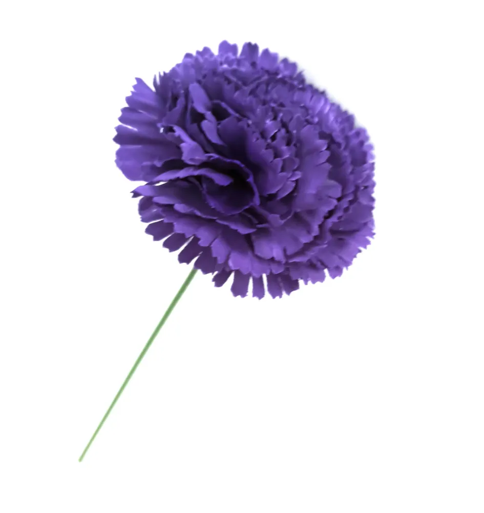 Clavel Flamenco Flor Pelo Ø9cm · Morado
