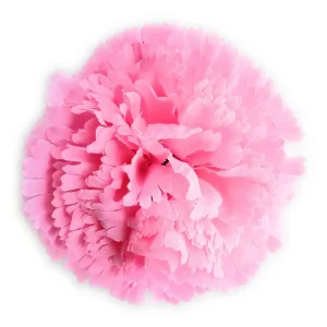 Clavel Flamenco Flor Pelo Ø9cm · Rosa