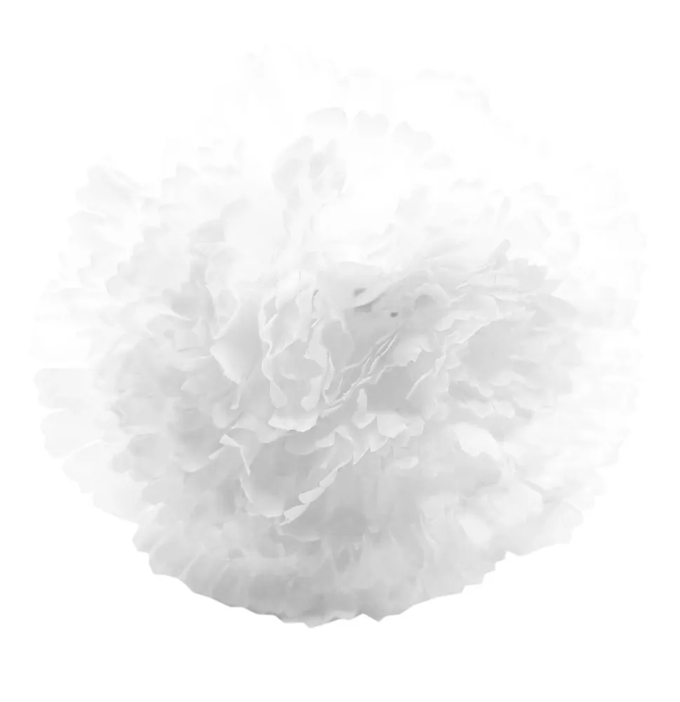 Clavel XL Flor Flamenca Grande Adorno Pelo Mujer · Blanco Ø13cm