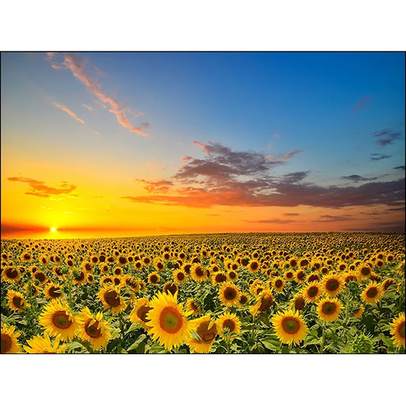 Alfombra novedosa amarilla y azul, alfombra con patrón de girasol de poliéster, alfombra lavable con respaldo antideslizan...