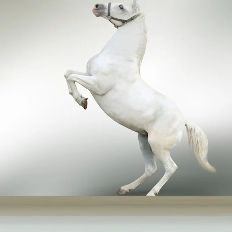 Calcomaní mural de caballo enorme para arte de pared de animales de cocina en color claro, resistente las manchas Azul Cle...
