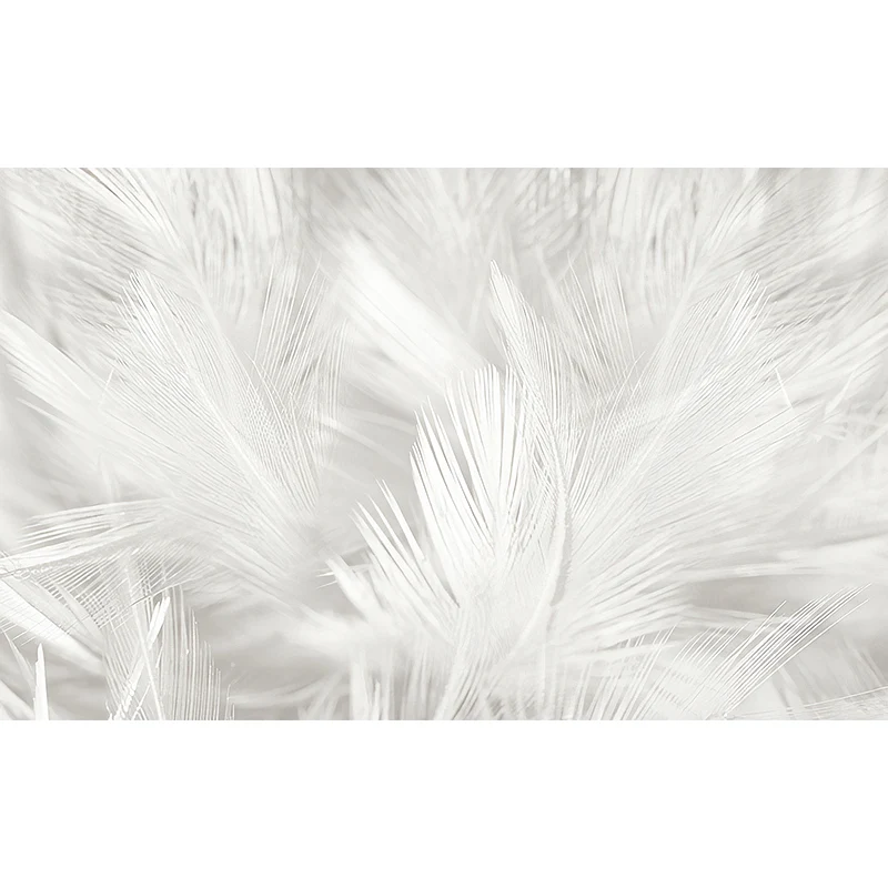 Calcomaní mural de pared de plumas de fotografí para pared decorativa en blanco liso, tamaño personalizado disponible Blan...