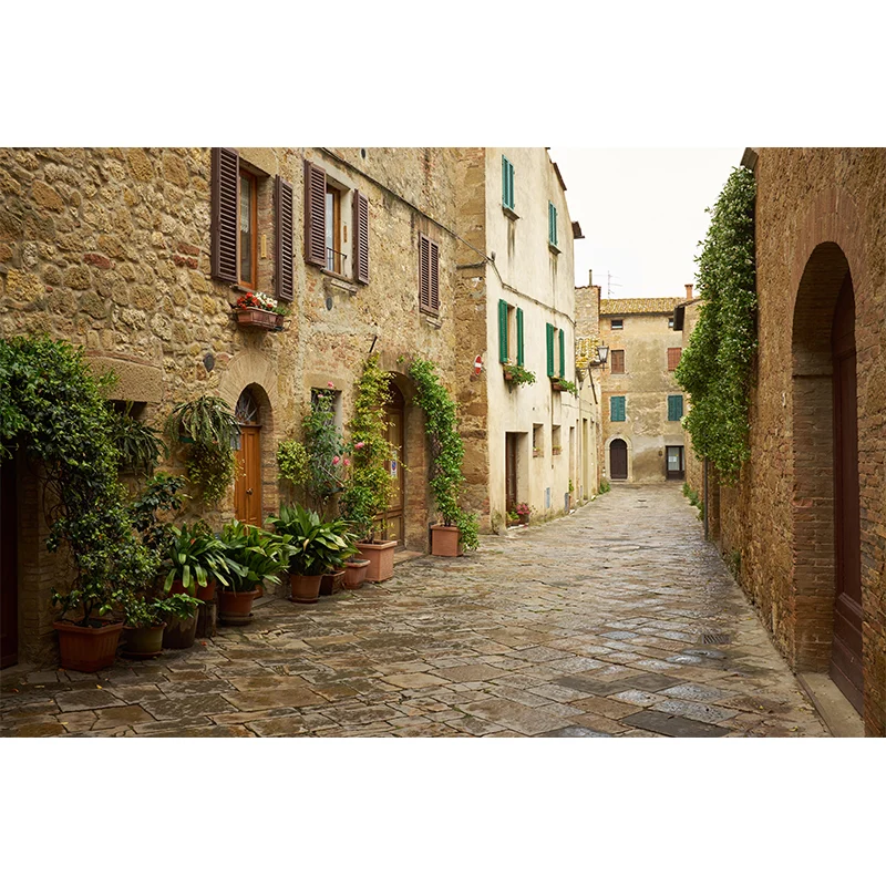 Fotografí Estilo Tranquil Town Mural Revestimiento de pared gigante para comedor, personalizado Beis Clearhalo