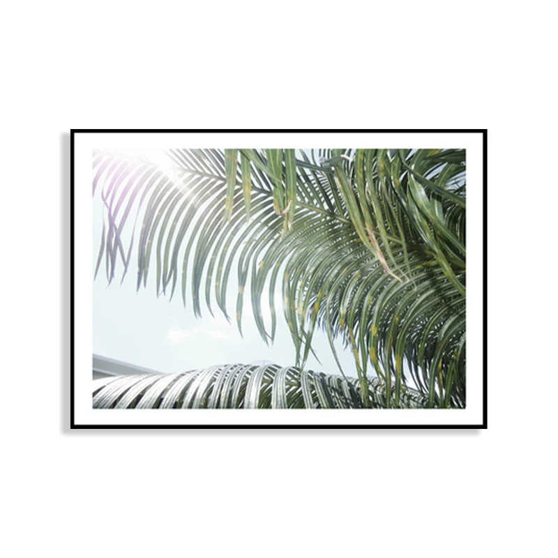 Fotografí impresa en lienzo con rama de palma, decoración artística de pared Tropical verde para sala de estar Verde Clear...