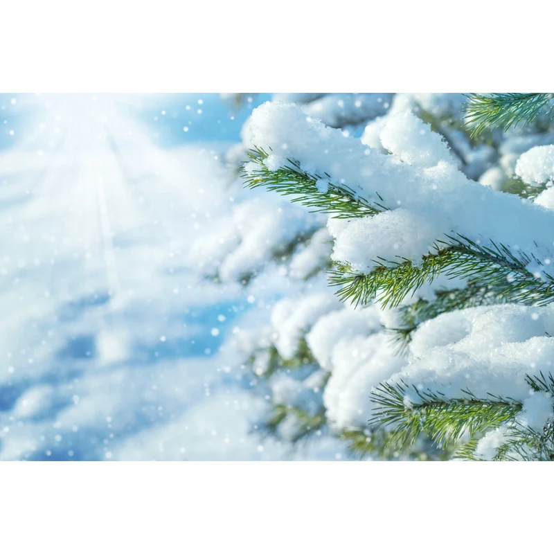 Fotografí Winter Rime Wall Mural Large Wall Art para sala de estar, tamaño personalizado disponible Blanco Clearhalo