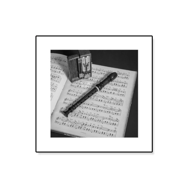 Lienzo musical en blanco y negro, decoración de pared texturizada para pasillo, varios tamaños Gris Clearhalo