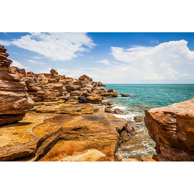 Mural moderno Sunny Rock Seashore para decoración de pared personalizada en pared decorativa en marrón Marron Clearhalo