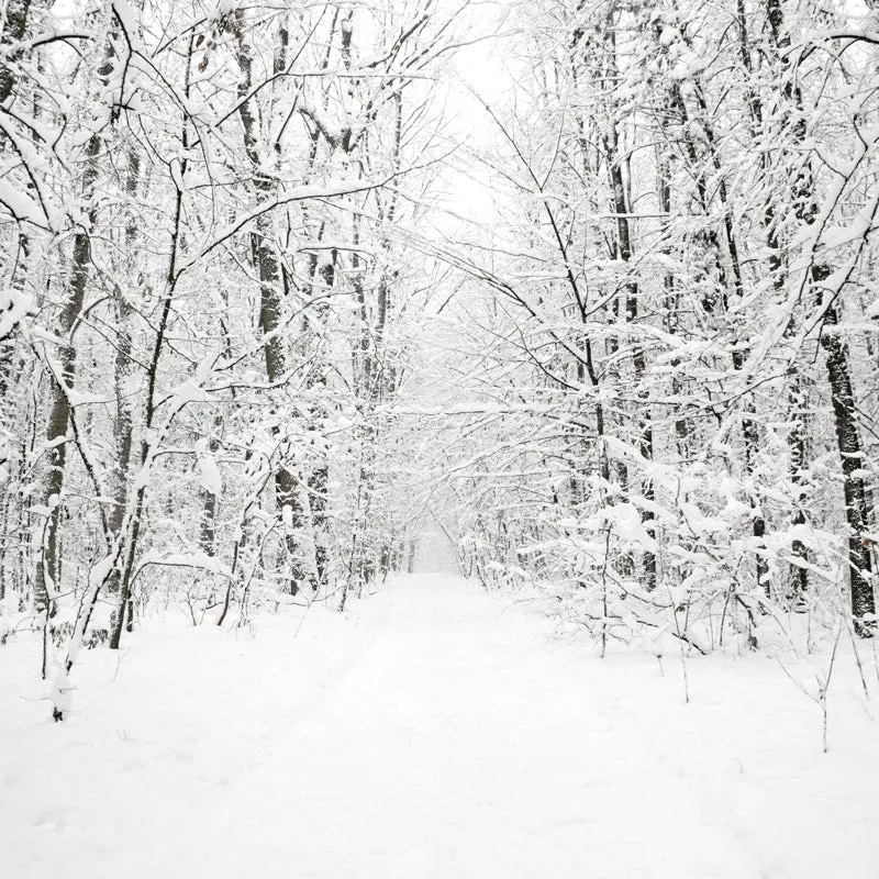 Mural de árboles sin hojas nevados blancos Escena de invierno Arte de pared moderno resistente la humedad Blanco Clearhalo