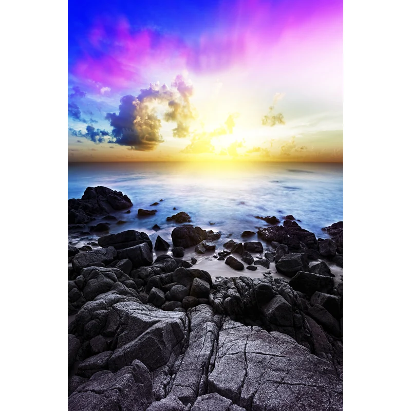 Mural Sunburst and Rock Shore, arte moderno de pared azul-púrpura para sala de estar, tamaño opcional Azul Clearhalo