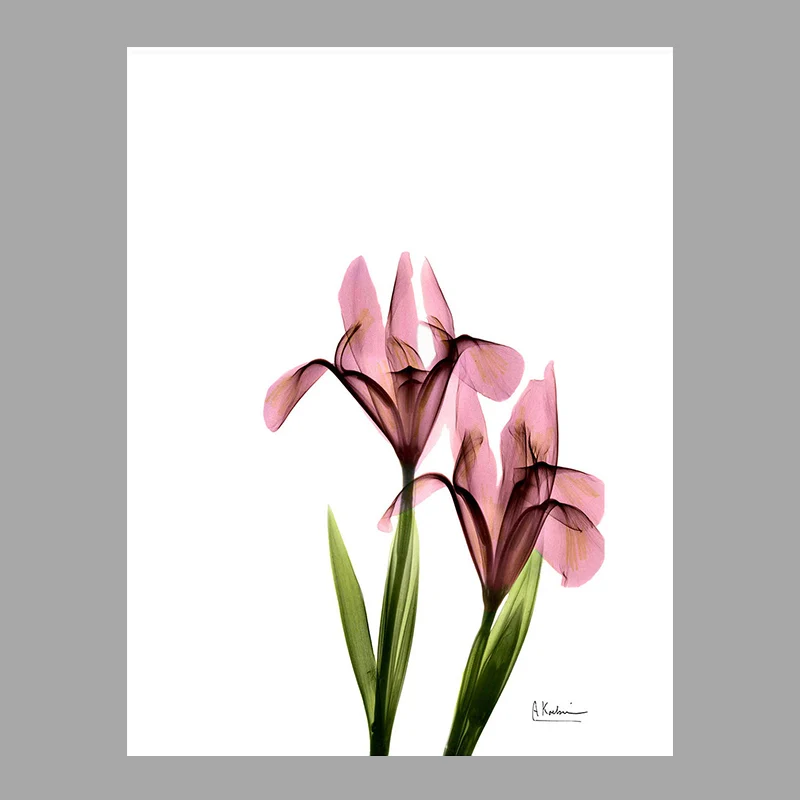 Pintura de flores, lienzo, arte de pared, decoración de pared con textura de granja para dormitorio de niñas Rosa Clearhalo