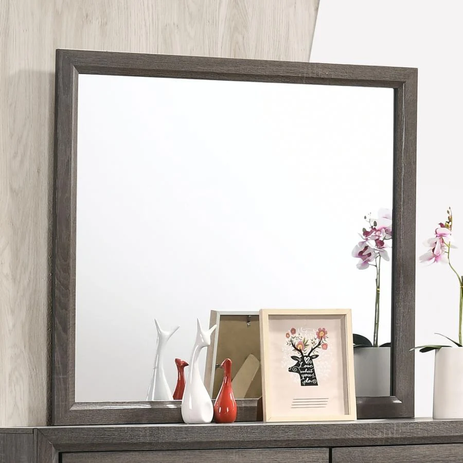 Espejo tocador Watson en roble gris Coaster Z2 Premium