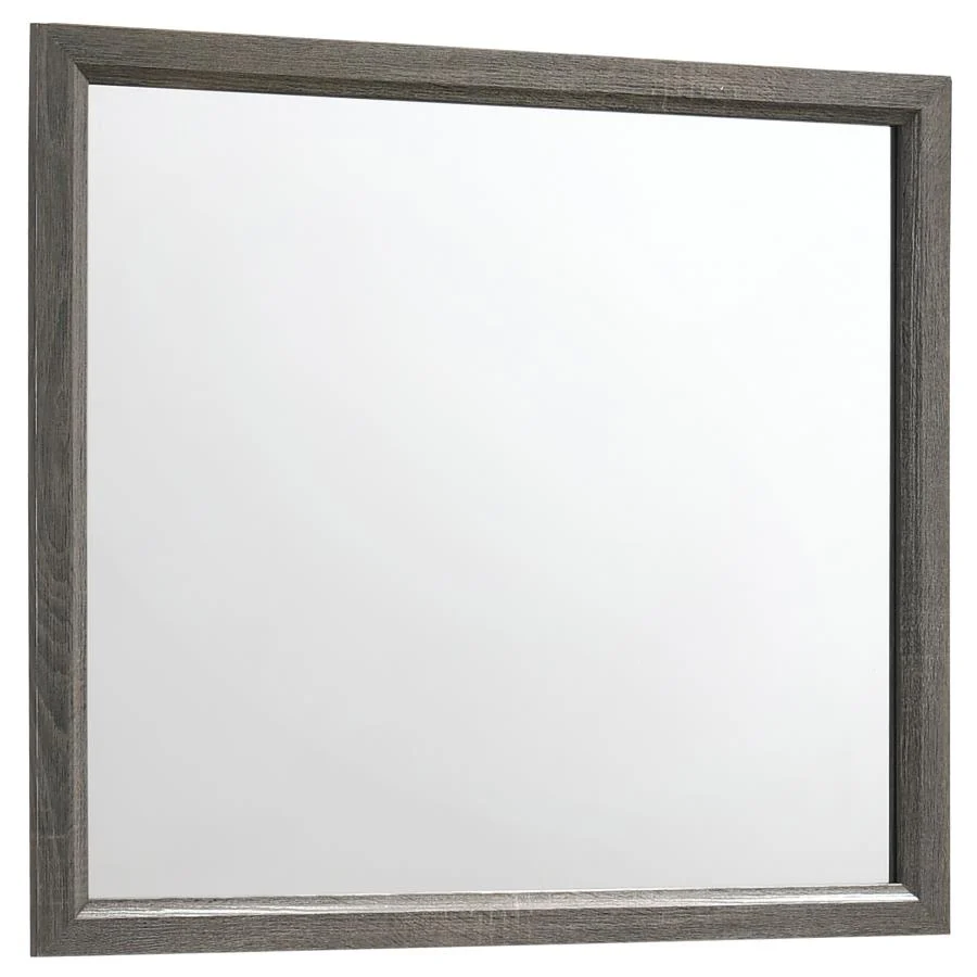 Espejo tocador Watson en roble gris Coaster Z2 Premium